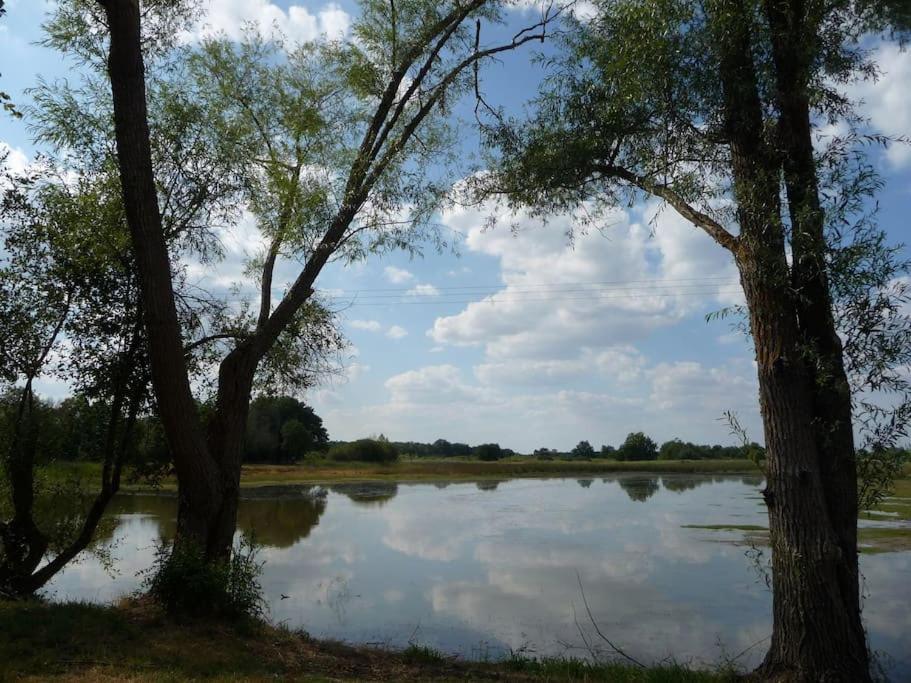 Bed and Breakfast Le Prieure De Loups Saint-Michel-en-Brenne Экстерьер фото